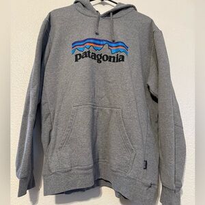 Patagonia Gray Hoodie with Logo Design